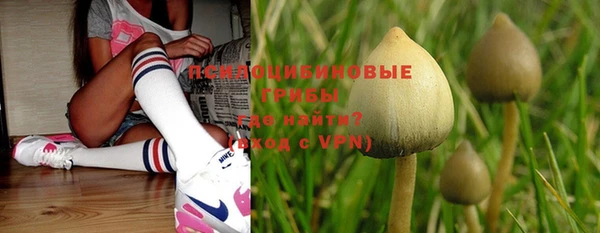 трава Нягань