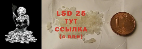 PSILOCYBIN Няндома