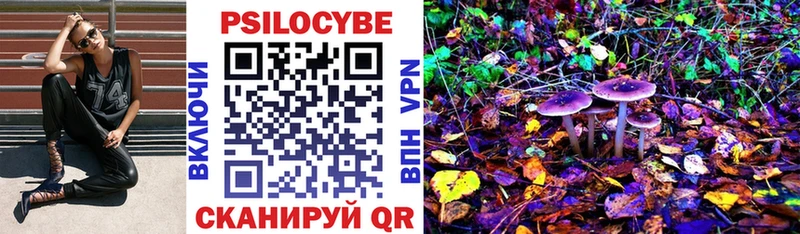 Псилоцибиновые грибы Magic Shrooms  Сычёвка 